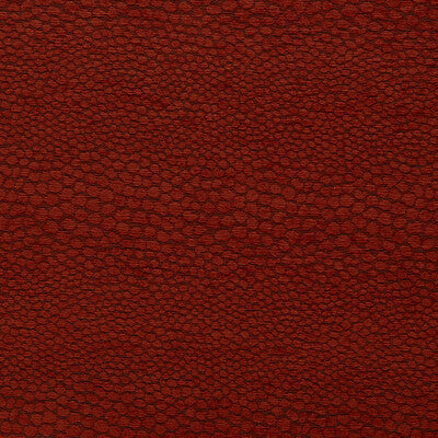 CLARKE AND CLARKE CASTUS F1788/10.CAC.0 in SPICE Fabric - CL