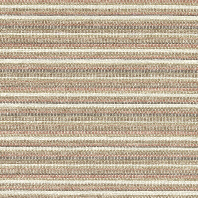 CLARKE AND CLARKE INTEGER F1789/01.CAC.0 in BLUSH Fabric - C
