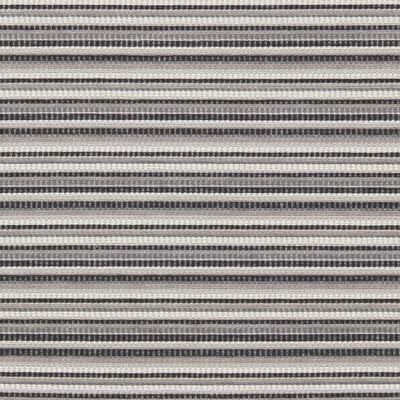 CLARKE AND CLARKE INTEGER F1789/02.CAC.0 in EBONY Fabric - C