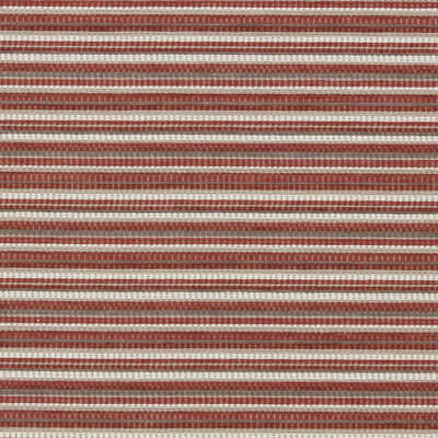 CLARKE AND CLARKE INTEGER F1789/06.CAC.0 in SPICE Fabric - C