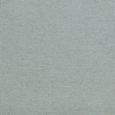 CLARKE AND CLARKE PONTUS F1790/04.CAC.0 in MINERAL Fabric - 