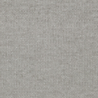 CLARKE AND CLARKE TERGO F1791/02.CAC.0 in DOVE Fabric - CLAR