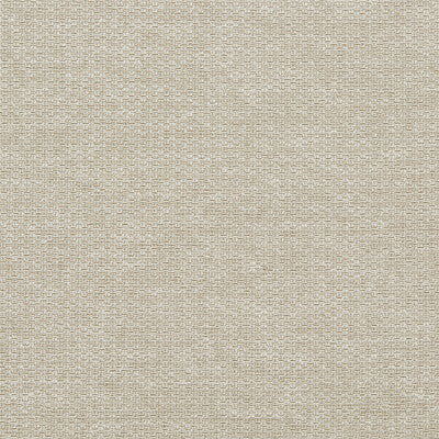 CLARKE AND CLARKE TERGO F1791/08.CAC.0 in SAHARA Fabric - CL