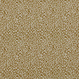 CLARKE AND CLARKE ARCATA F1793/04.CAC.0 in GOLD Fabric - CLA