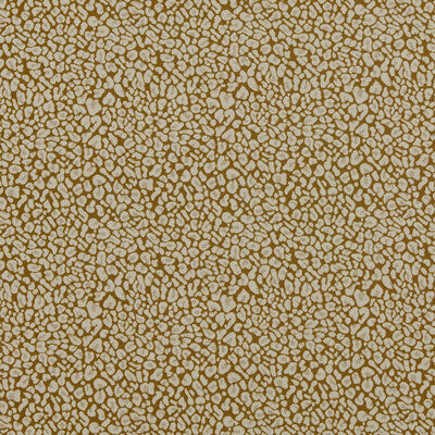 CLARKE AND CLARKE ARCATA F1793/04.CAC.0 in GOLD Fabric - CLA