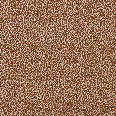CLARKE AND CLARKE ARCATA F1793/06.CAC.0 in SPICE Fabric - CL