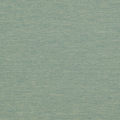 CLARKE AND CLARKE CAMERON F1794/03.CAC.0 in FOREST Fabric - 