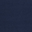 CLARKE AND CLARKE JAIPUR F1806/17.CAC.0 in INK Fabric - CLAR