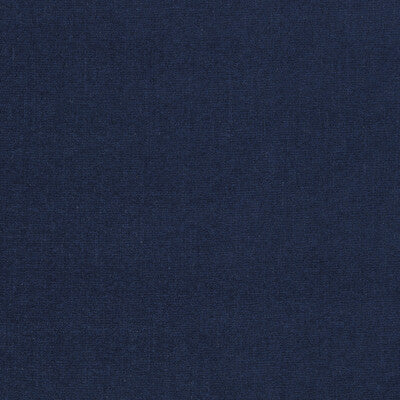 CLARKE AND CLARKE JAIPUR F1806/17.CAC.0 in INK Fabric - CLAR