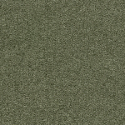 CLARKE AND CLARKE JAIPUR F1806/22.CAC.0 in MOSS Fabric - CLA