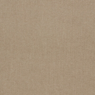 CLARKE AND CLARKE JAIPUR F1806/26.CAC.0 in OTTER Fabric - CL