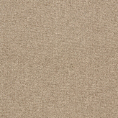 CLARKE AND CLARKE JAIPUR F1806/33.CAC.0 in SHALE Fabric - CL