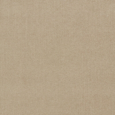 CLARKE AND CLARKE JAIPUR F1806/39.CAC.0 in TAUPE Fabric - CL