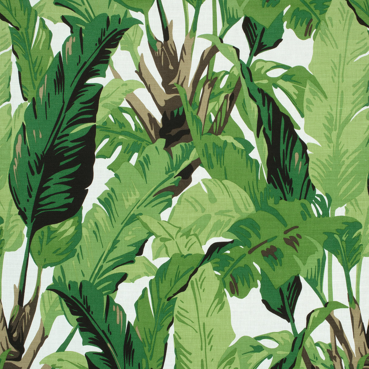 Thibaut F910127 TRAVELERS PALM Green Fabric