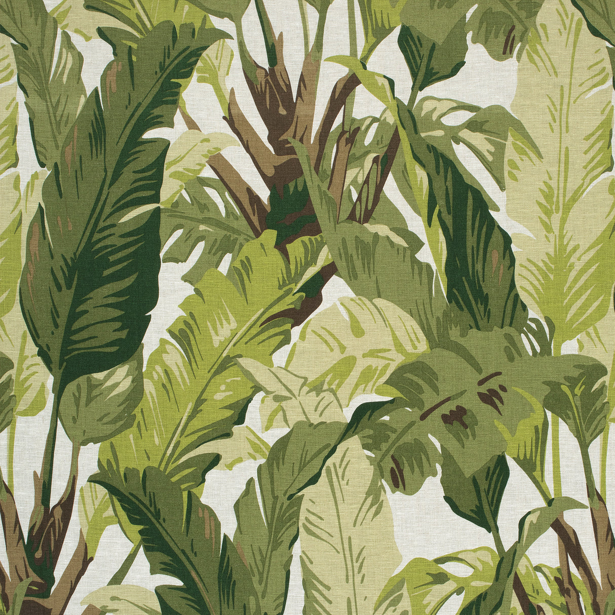 Thibaut F910131 TRAVELERS PALM Sage Fabric