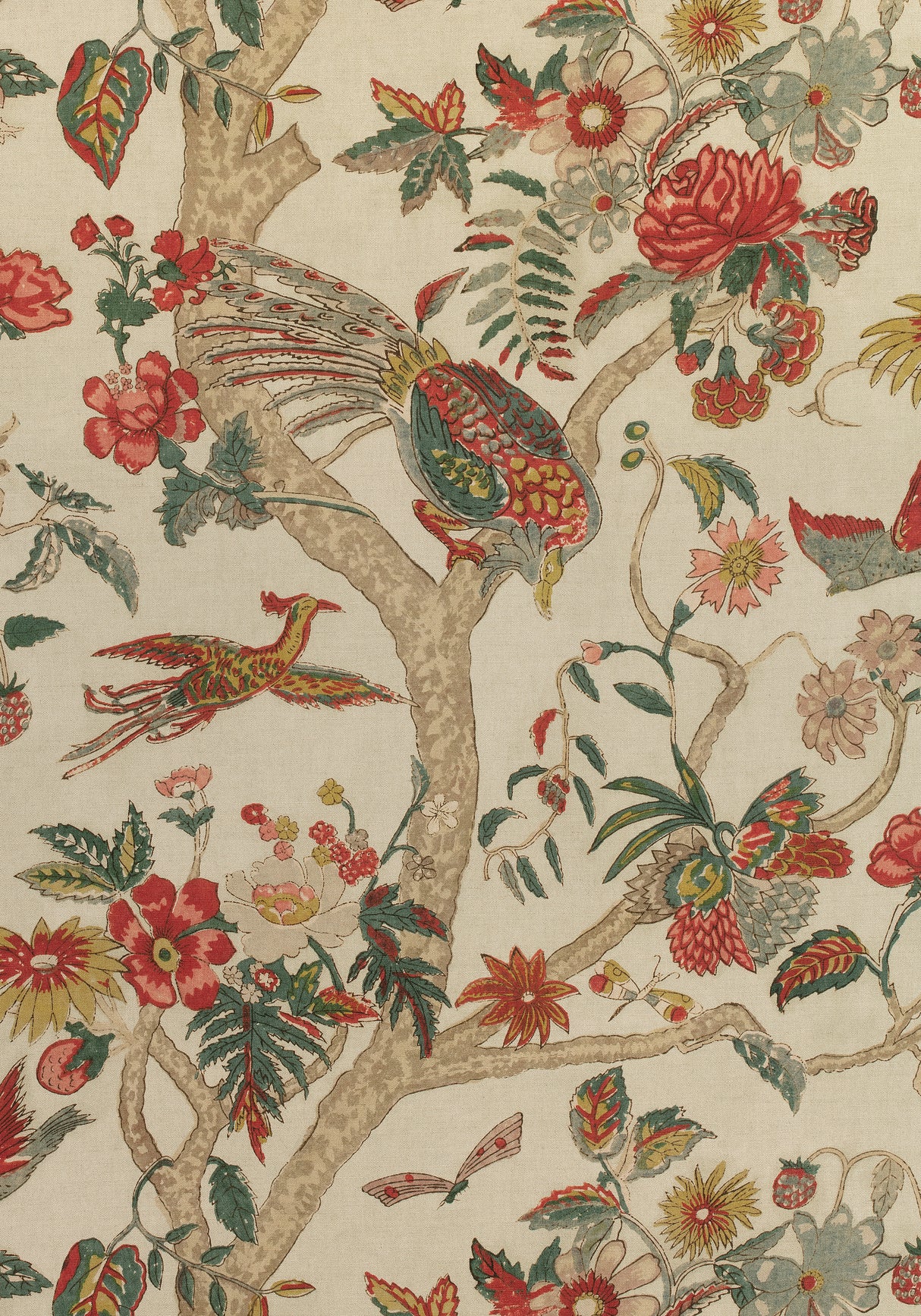 Thibaut F910228 COROMANDEL Wheat Fabric