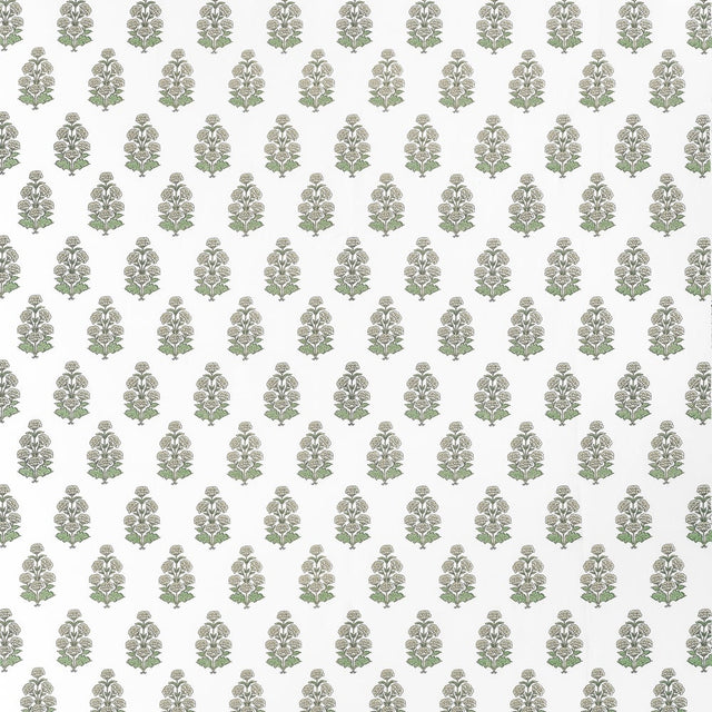 Thibaut AUDREY F910522 in Beige Fabric - BOXWOOD FABRIC BOOK