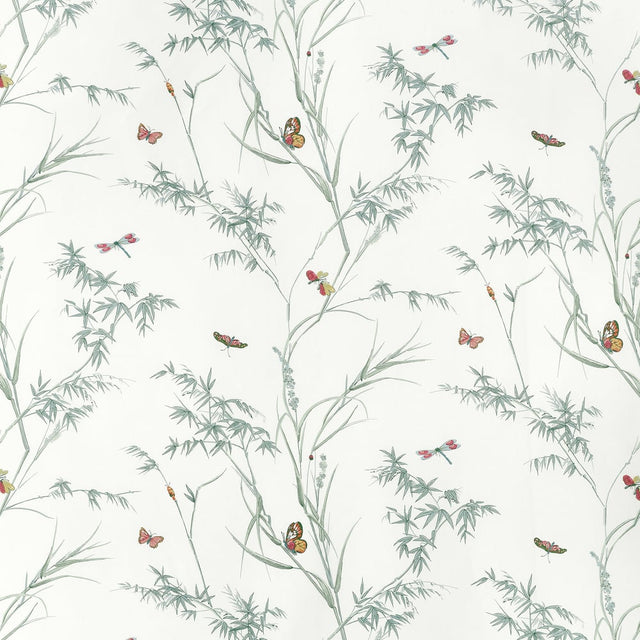Thibaut VIRGINIA F910527 in Soft Green Fabric - BOXWOOD FABR