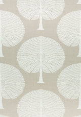 Thibaut F910601 MULBERRY TREE Natural Fabric