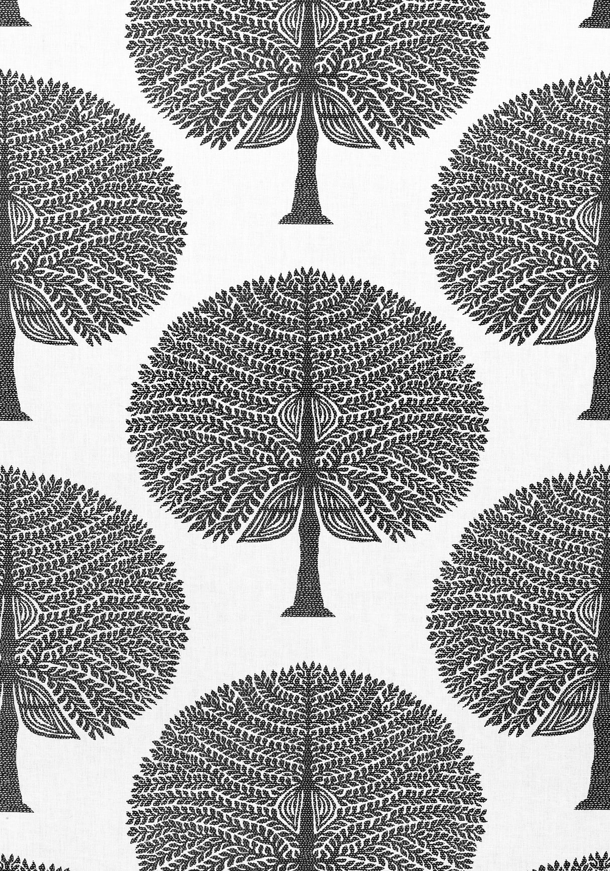 Thibaut F910602 MULBERRY TREE Black and White Fabric
