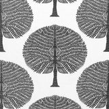 Thibaut F910602 MULBERRY TREE Black and White Fabric