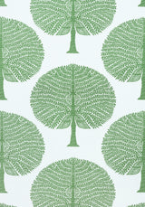 Thibaut F910604 MULBERRY TREE Green Fabric