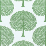 Thibaut F910604 MULBERRY TREE Green Fabric