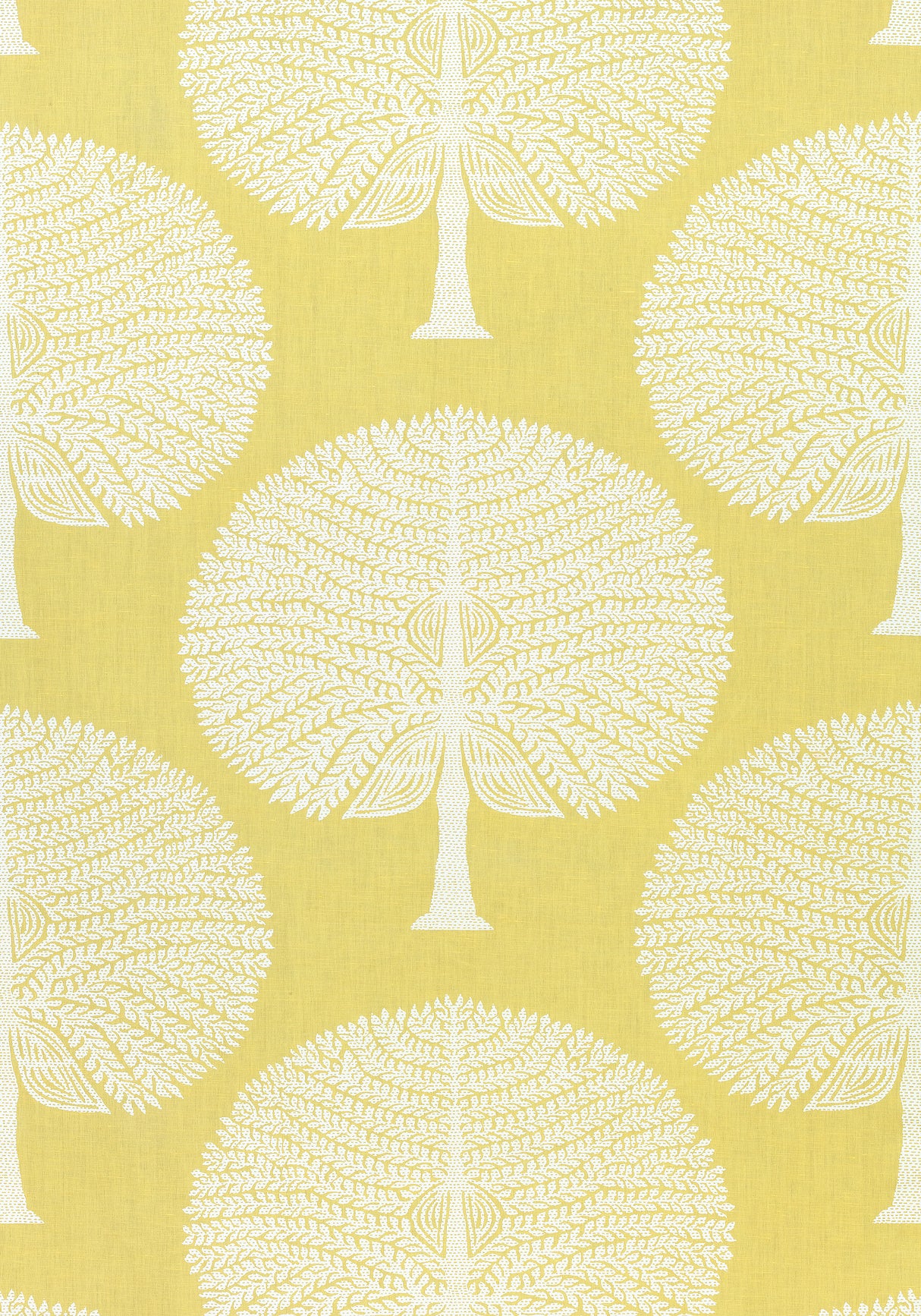 Thibaut F910605 MULBERRY TREE Yellow Fabric