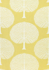 Thibaut F910605 MULBERRY TREE Yellow Fabric