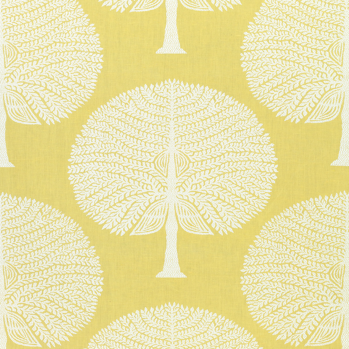 Thibaut F910605 MULBERRY TREE Yellow Fabric