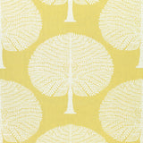 Thibaut F910605 MULBERRY TREE Yellow Fabric