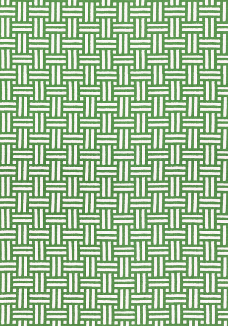 Thibaut F910620 PIERMONT Green Fabric