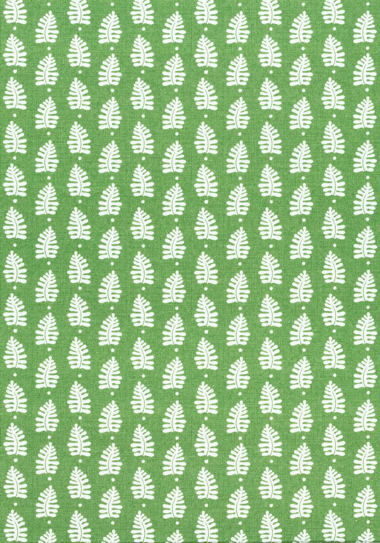Thibaut F910652 FERNDALE Green Fabric