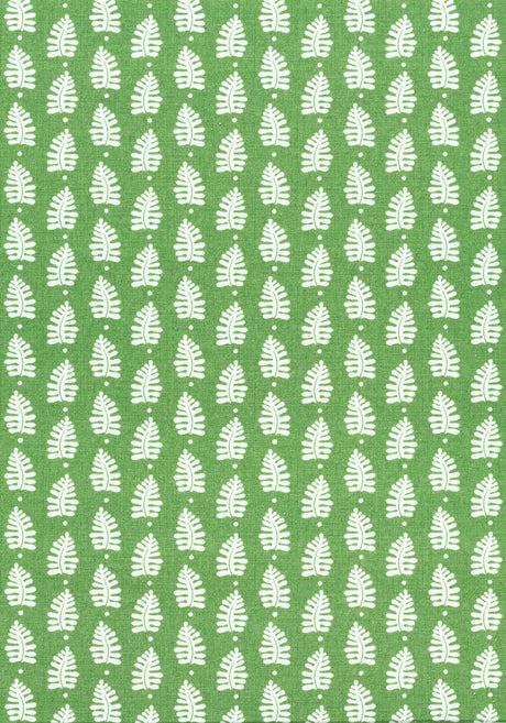 Thibaut F910652 FERNDALE Green Fabric