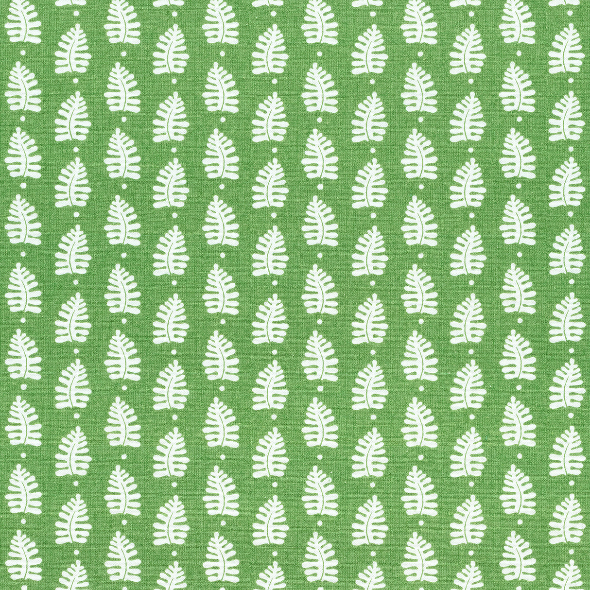 Thibaut F910652 FERNDALE Green Fabric