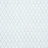 Thibaut F910832 ARBORETA Spa Blue Fabric