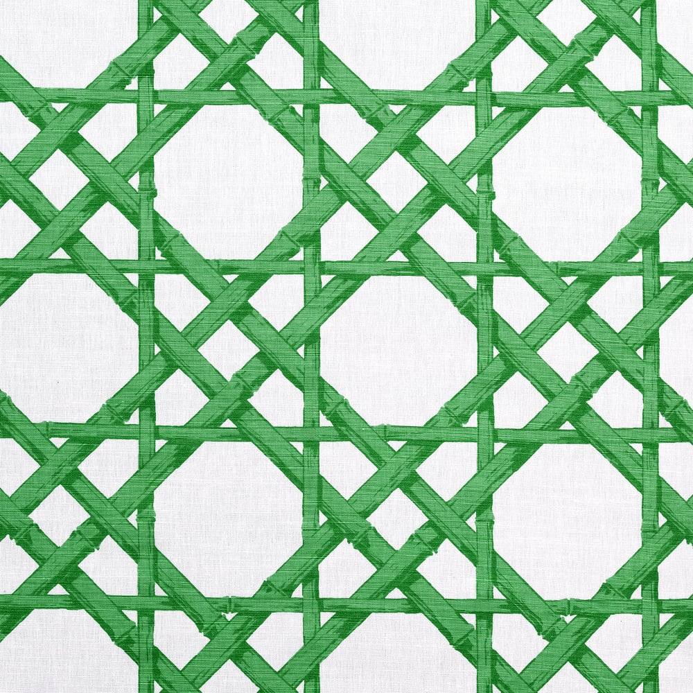 Thibaut F913140 CYRUS CANE Emerald Green Fabric