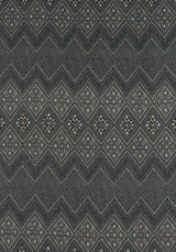 Thibaut F913228 HIGH PLAINS Black Fabric