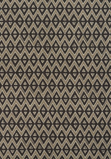 Thibaut F913239 TIBURON Brown Fabric