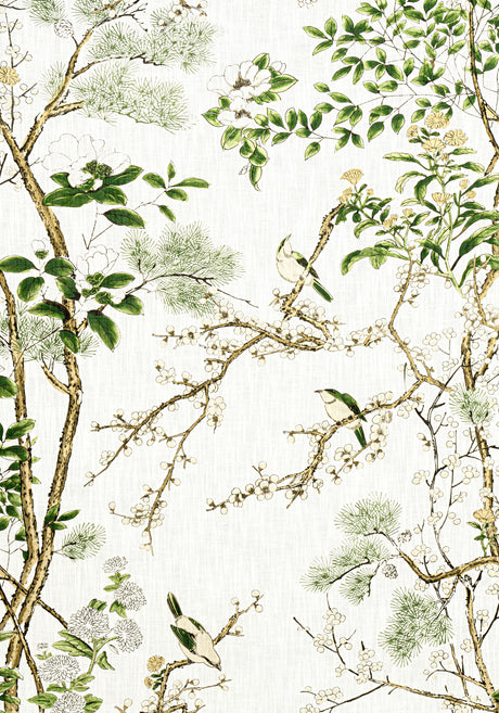 Thibaut F913621 KATSURA Green and White Fabric
