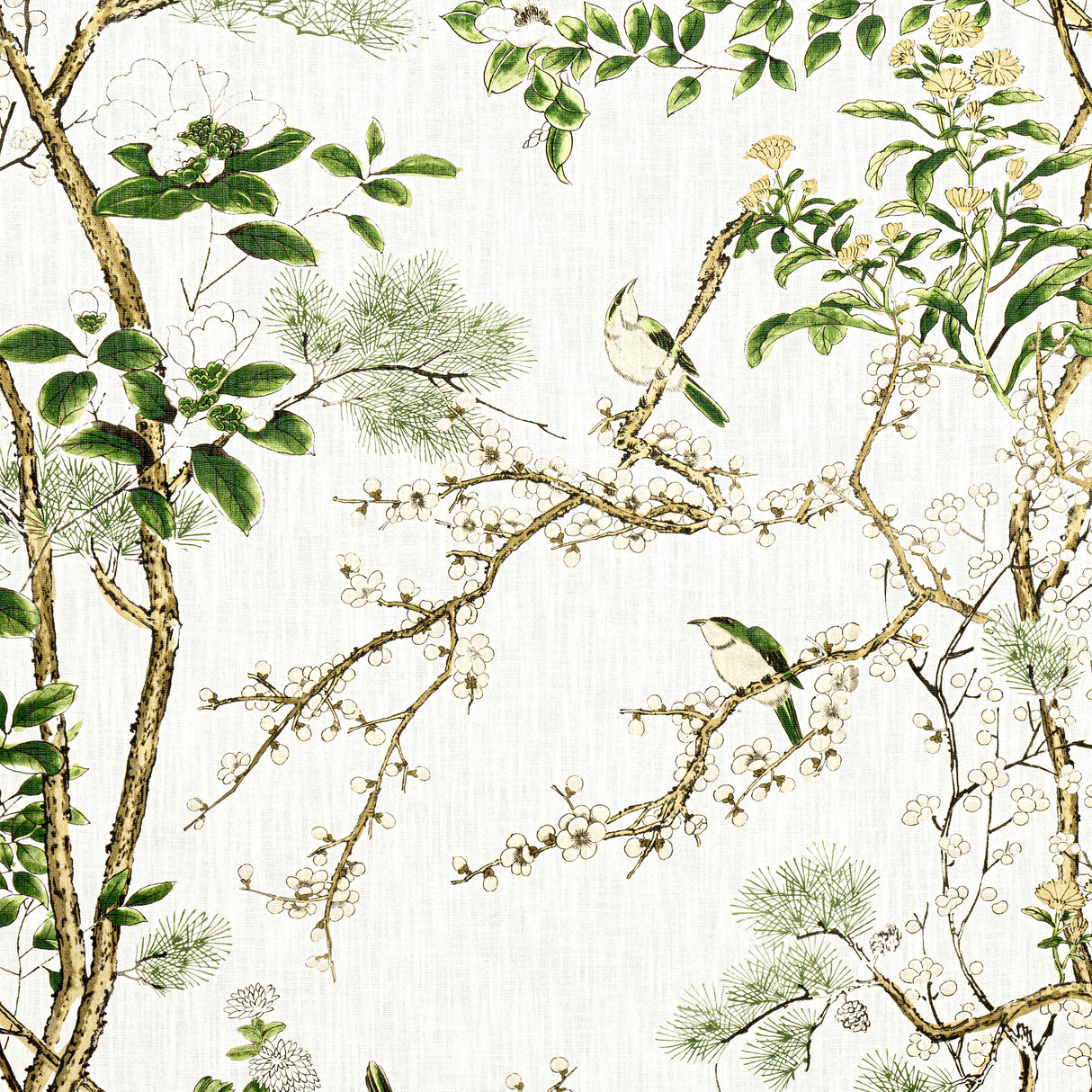 Thibaut F913621 KATSURA Green and White Fabric