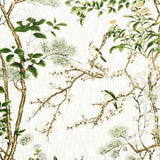 Thibaut F913621 KATSURA Green and White Fabric