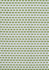 Thibaut F914327 DENVER Green and Blue Fabric
