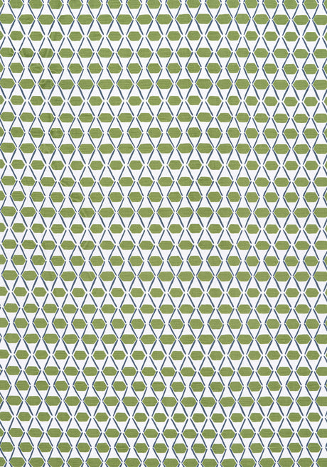 Thibaut F914327 DENVER Green and Blue Fabric