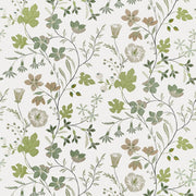 Thibaut BLOOM F914625 in Sage Fabric - FAIRHAVEN FABRIC BOOK