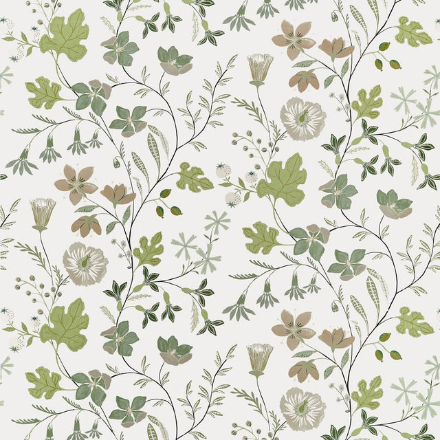 Thibaut BLOOM F914625 in Sage Fabric - FAIRHAVEN FABRIC BOOK