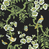 Thibaut F920845 YUKIO Black Fabric
