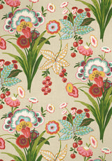 Thibaut F920852 PASADENA Cream Fabric