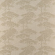 Thibaut TORREY PINES F924436 in Champagne Fabric - YUTORI FA
