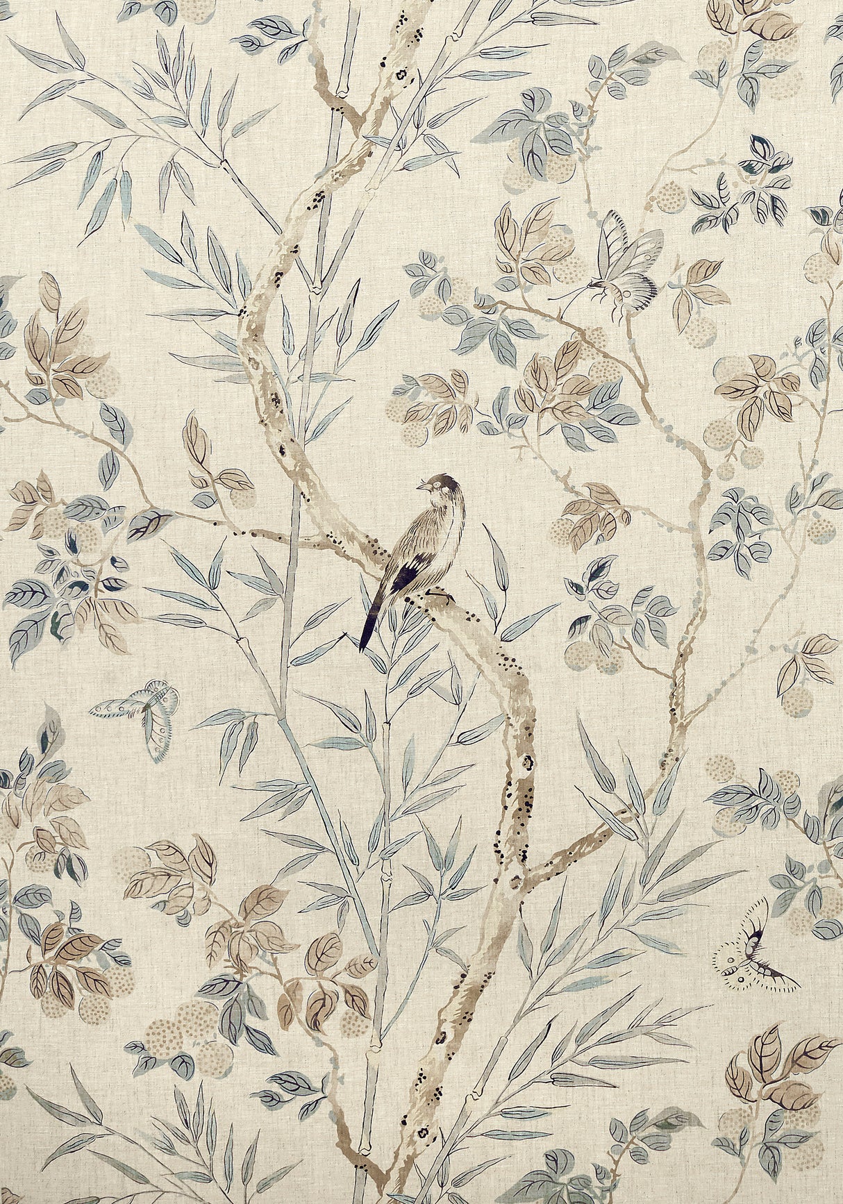 Thibaut F942012 CLAIRE Neutral Fabric